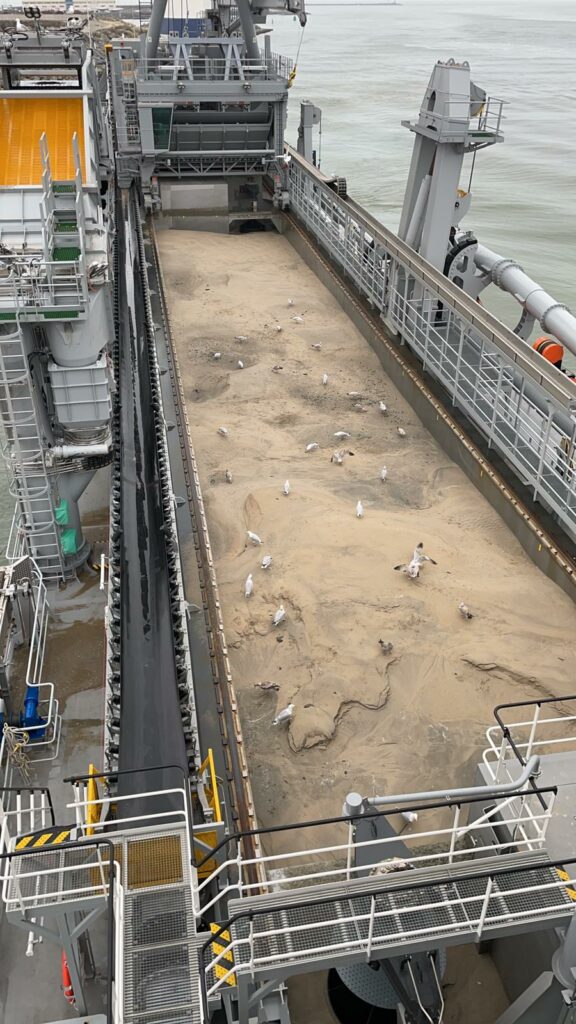 Full cargo load of gravel, covered with dust. And the seagulls know that the dust layer also collects all the snacks